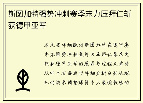 斯图加特强势冲刺赛季末力压拜仁斩获德甲亚军